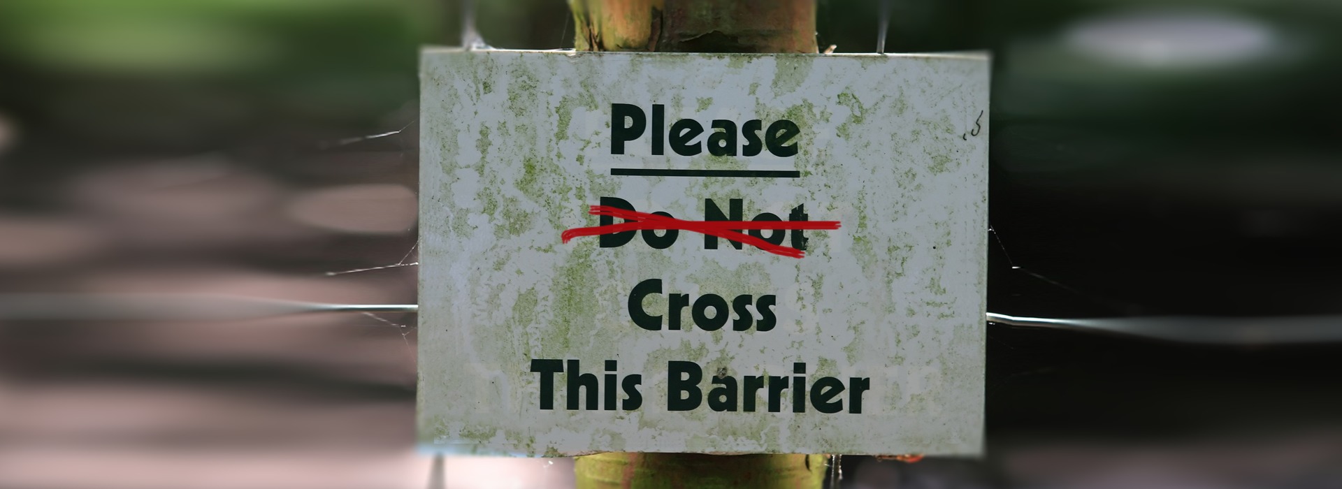 5 barier, które stają na drodze darczyńcy przed wpłatą